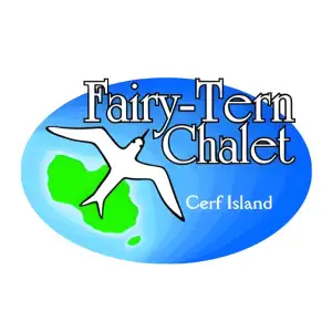 Fairy Tern